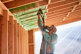 Types of Insulation We Offer in Scissors, TX